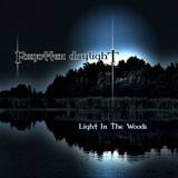 Forgotten Daylight : Light in the Woods